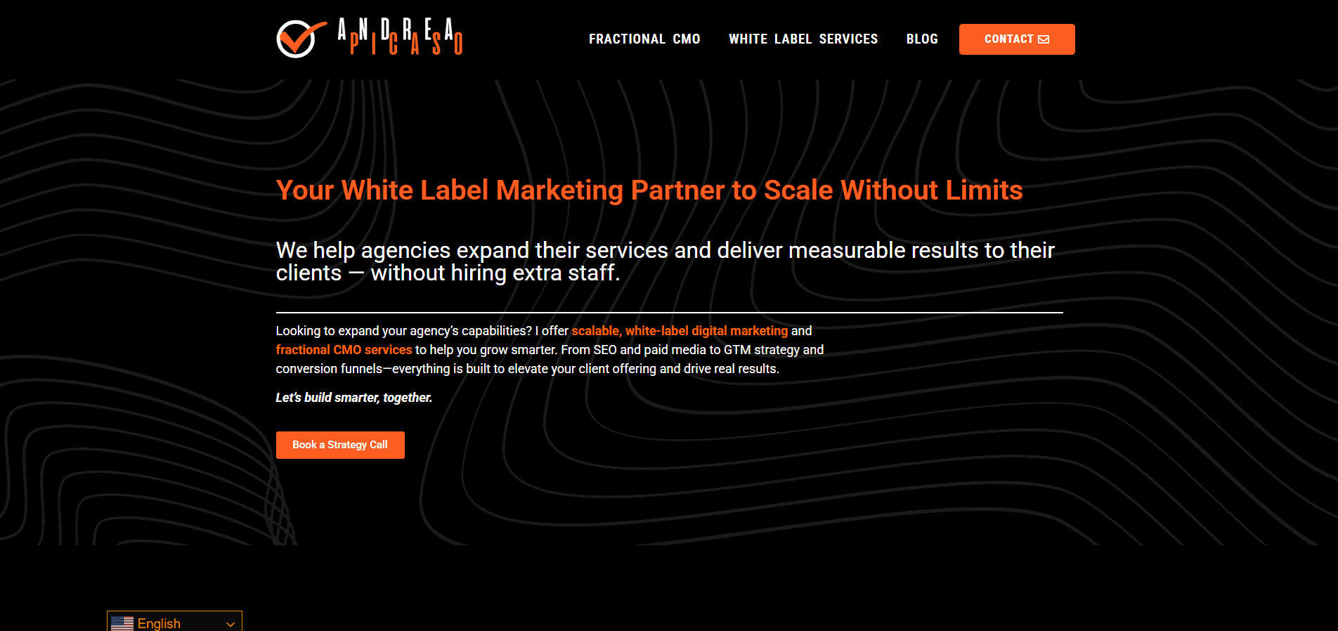 Andea Picaso - Featured Image